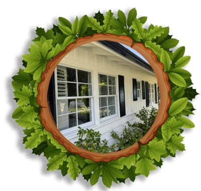 exterior house washing