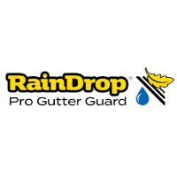 Raindrop Logo