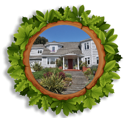 services-1-up commercial washing