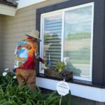 Soft Washing Subscription